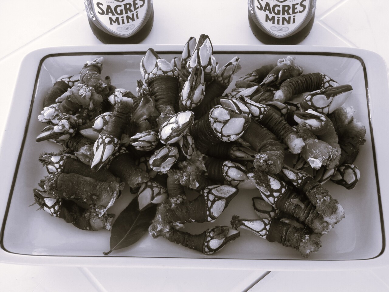 percebes.jpeg