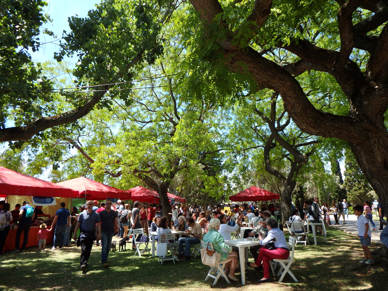 P5201301.JPG P5201301.JPG