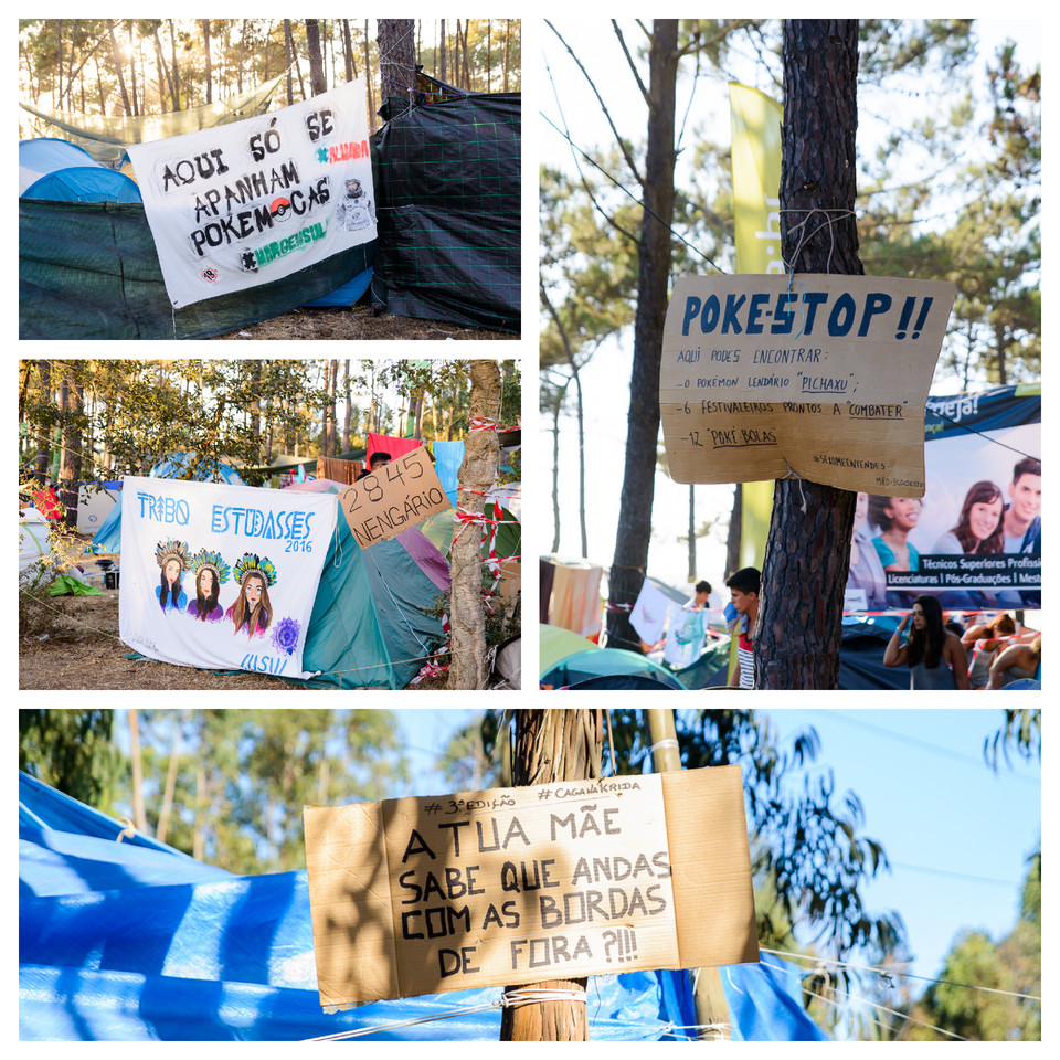 Meo SW 2016 - 041_Fotor_Collage.jpg