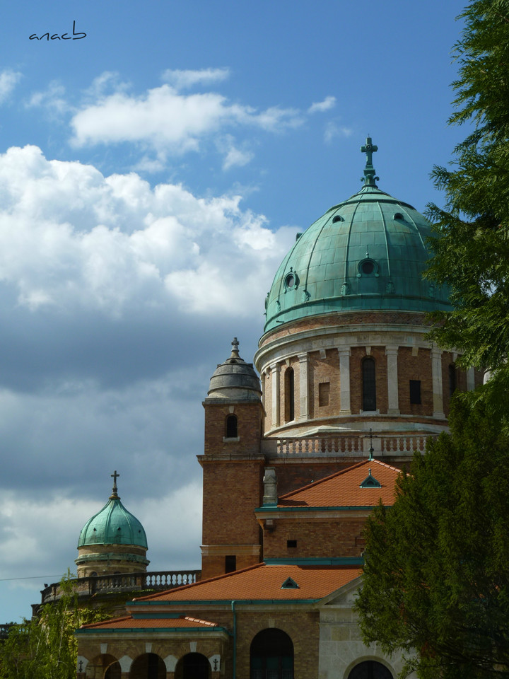 P1370969 cópia assin.jpg