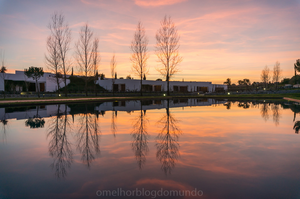 DSC08063.jpg DSC08063.jpg