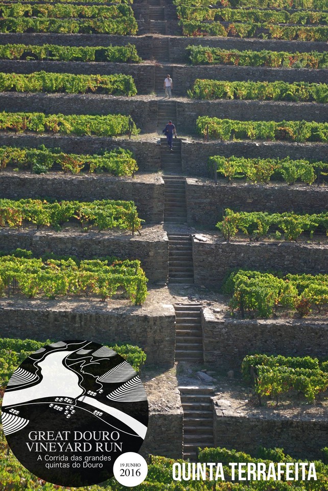 12779171_813576345431209_1766039280028872353_o