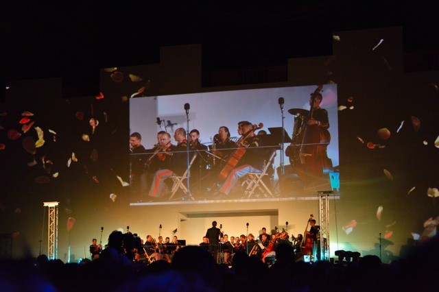 DSC_2919.jpg DSC_2919.jpg