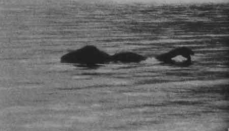 Monstro do Lago Ness