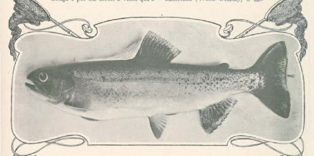 centro aquicola5.PNG