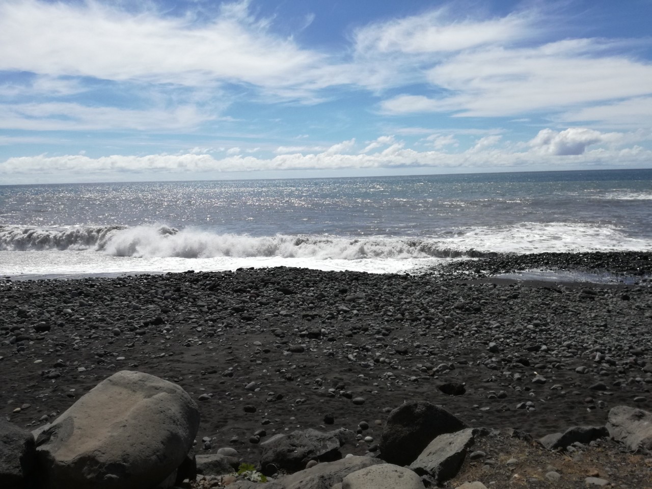 IMG_20190303_130524.jpg IMG_20190303_130524.jpg