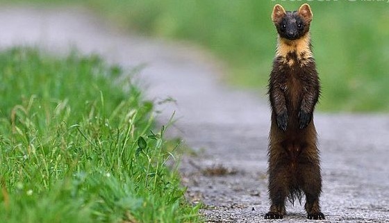 ec257ce5f016d7973a5ed852b19a1db3 (3).jpg