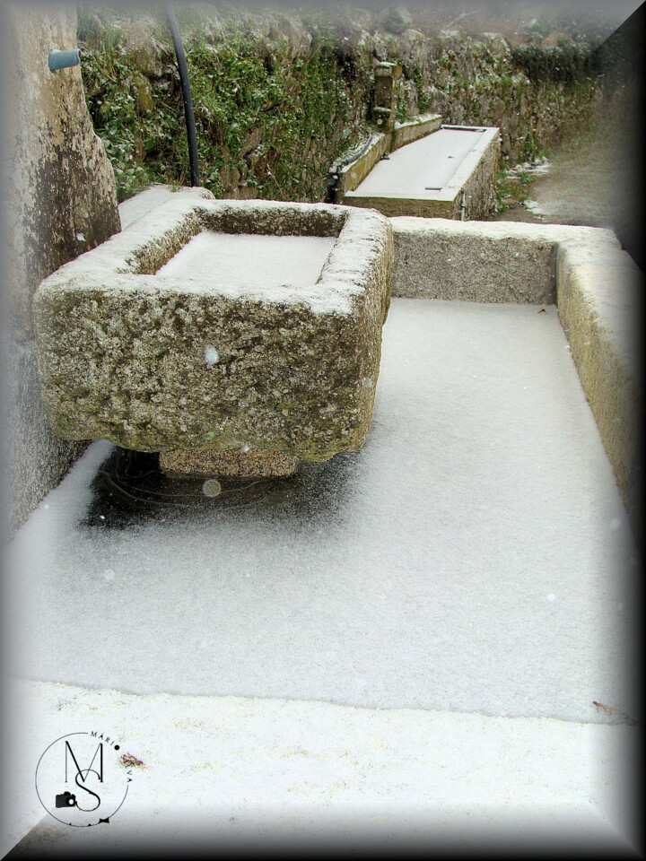 15Dez DSC03752_ms-fotor.jpg