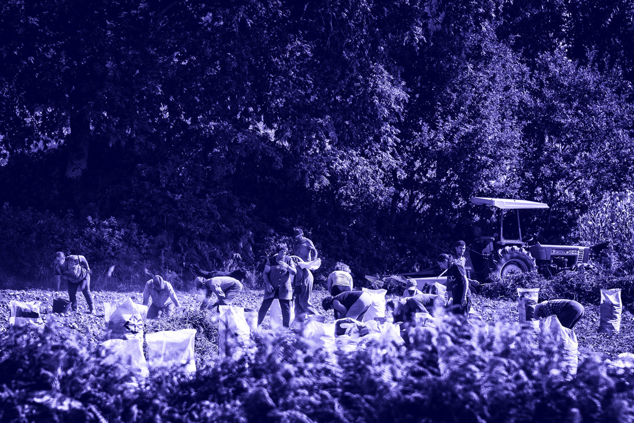 _JMF0527 - cópia copy - cópia.jpg