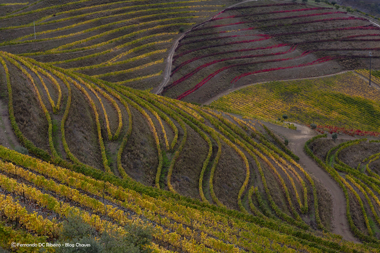 aniversario-15 (21).jpg