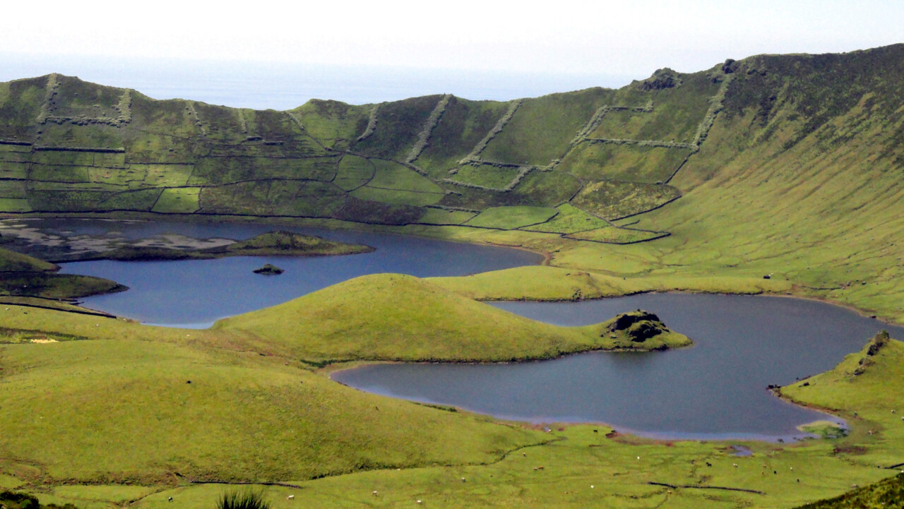 Corvo Açores.jpg