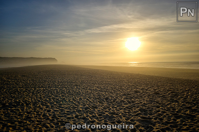 Out_2021_012x 3_2 650px.jpg