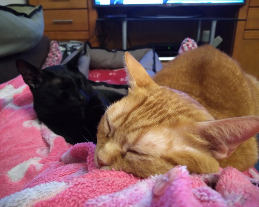 SquarePic_20191225_21162337.jpg SquarePic_20191225_21162337.jpg