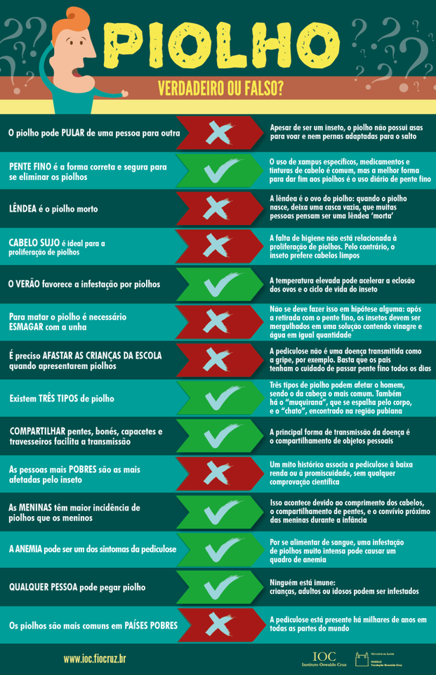 piolhos verdadeiro ou falso.png piolhos verdadeiro ou falso.png