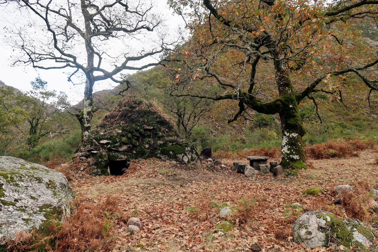 IMG_1899.CR2.jpg IMG_1899.CR2.jpg