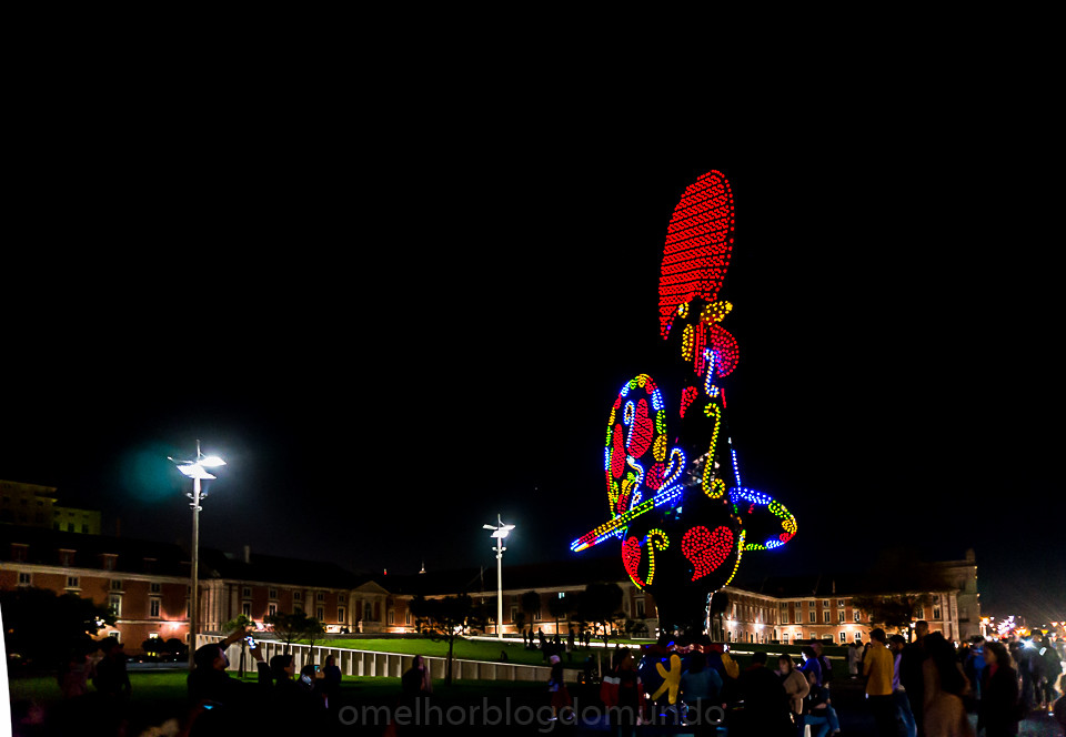 DSC06100.jpg DSC06100.jpg