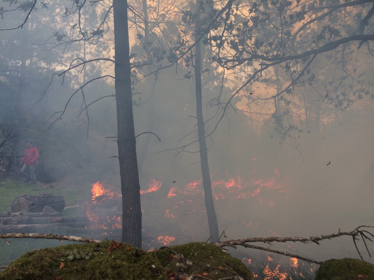 imgpsh_fullsize (7).jpg