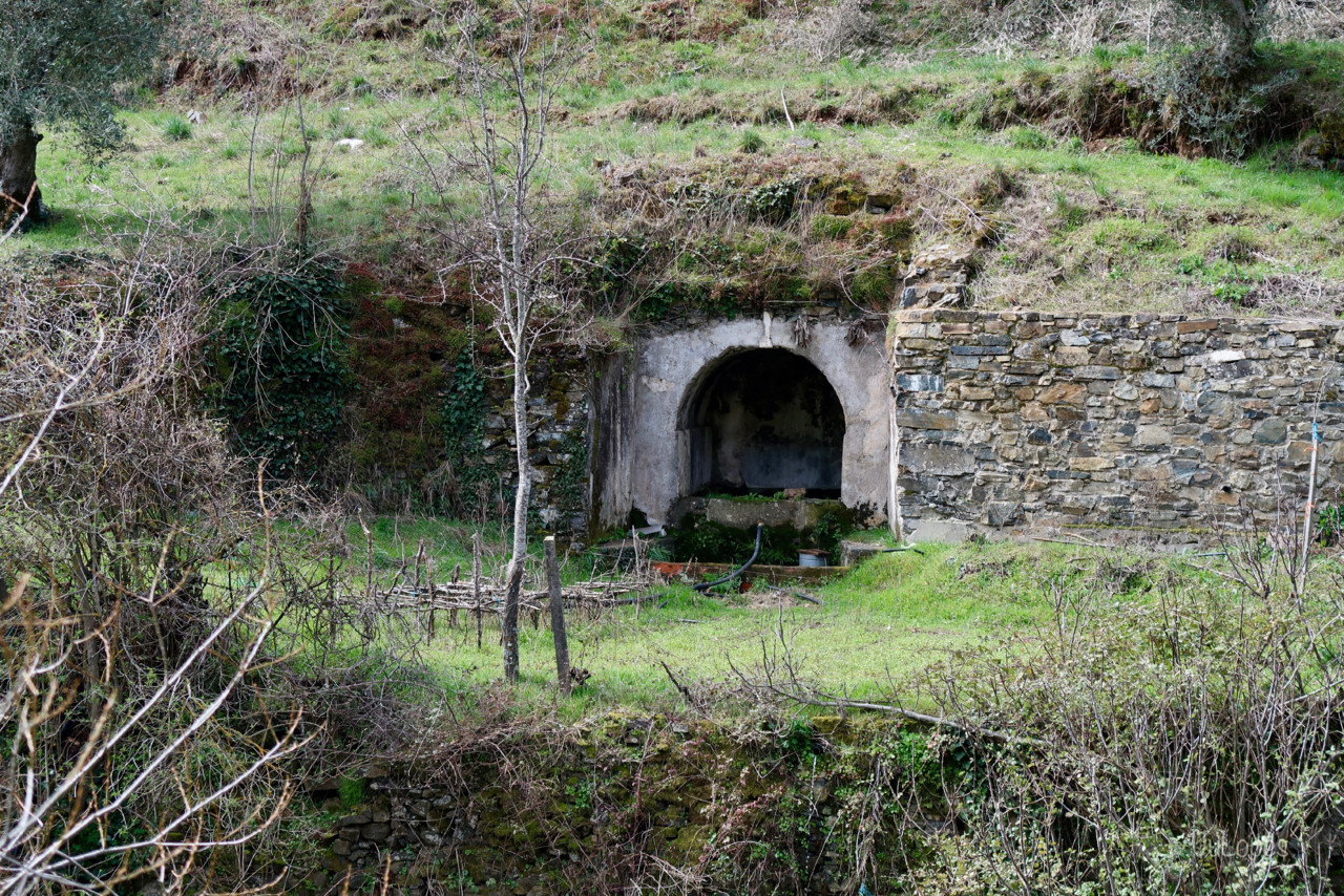 IMG_0102.jpg IMG_0102.jpg