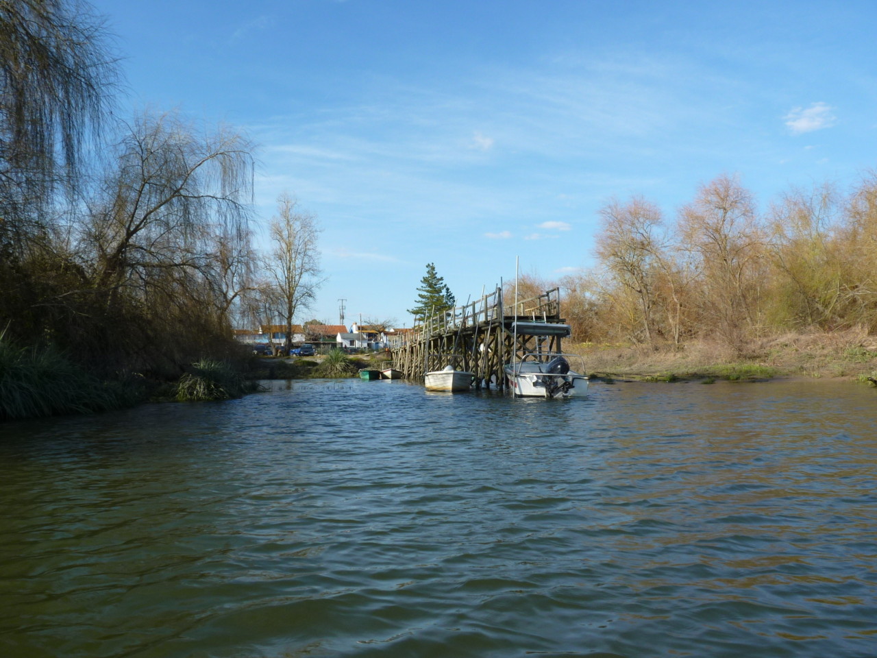 Passeio de barco (18).JPG