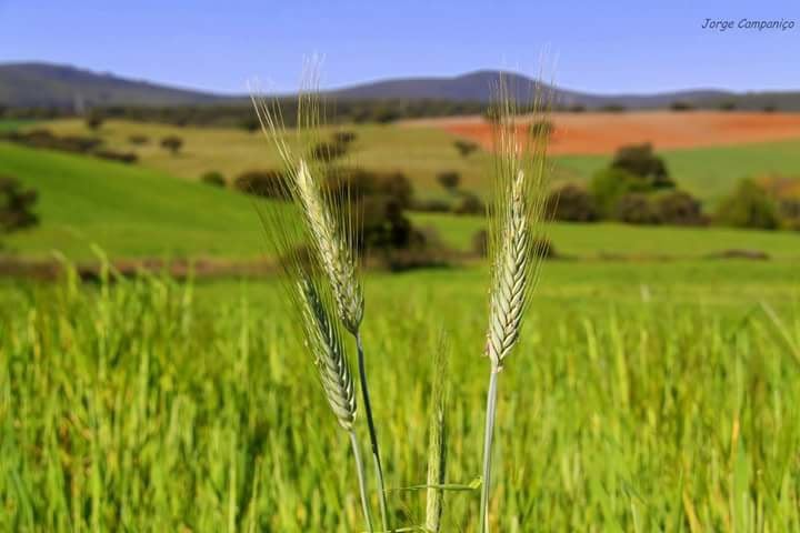 31770156_889080404597687_8803680571562655744_n.jpg 31770156_889080404597687_8803680571562655744_n.jpg