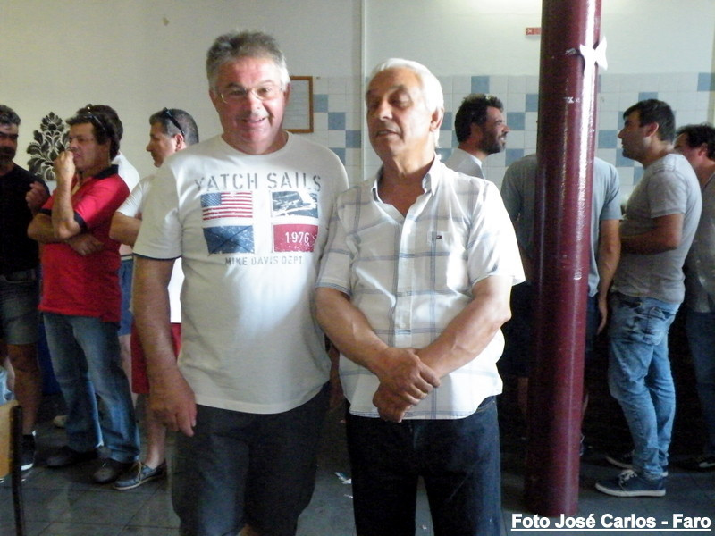 Leilão Ervidel 2017 056.JPG