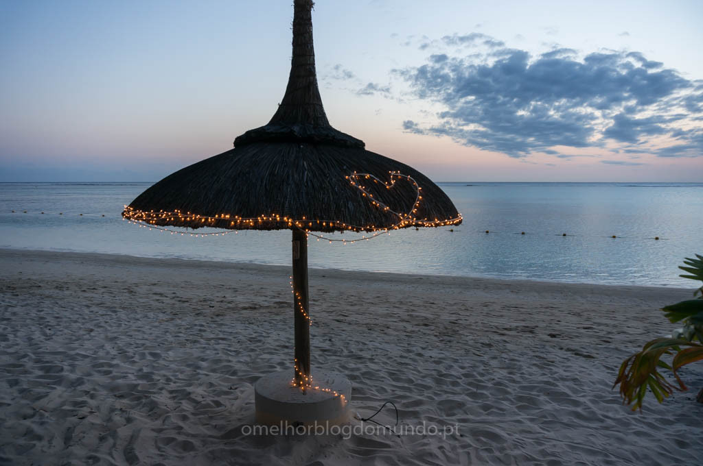 DSC01216.jpg DSC01216.jpg