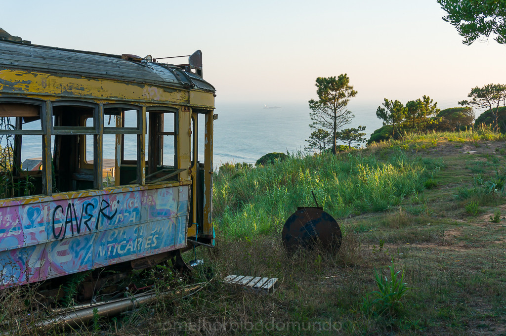 DSC04939.jpg DSC04939.jpg