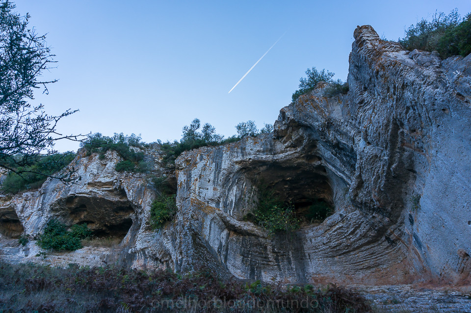 DSC05415.jpg DSC05415.jpg