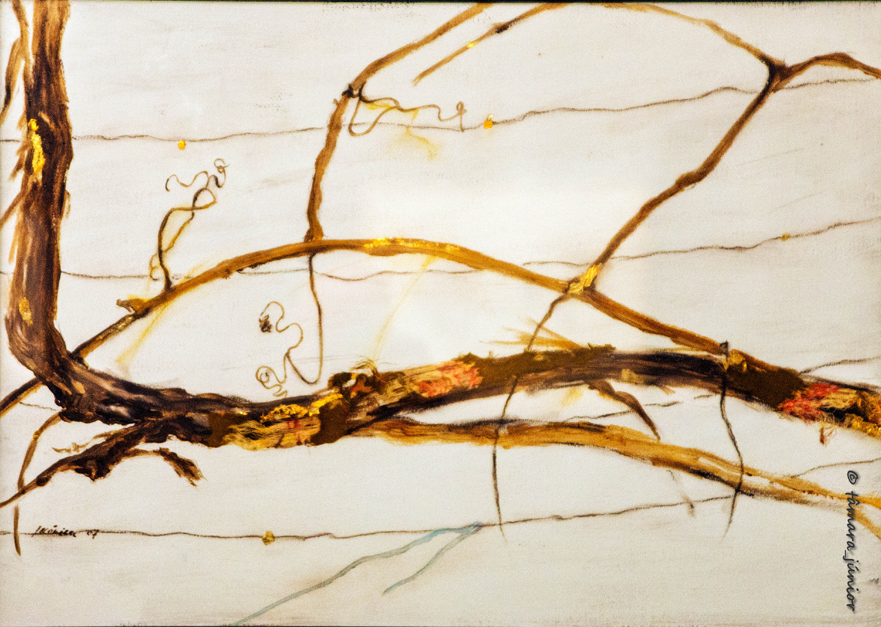 01.- 2015 - Viseu (2º dia) (195).jpg