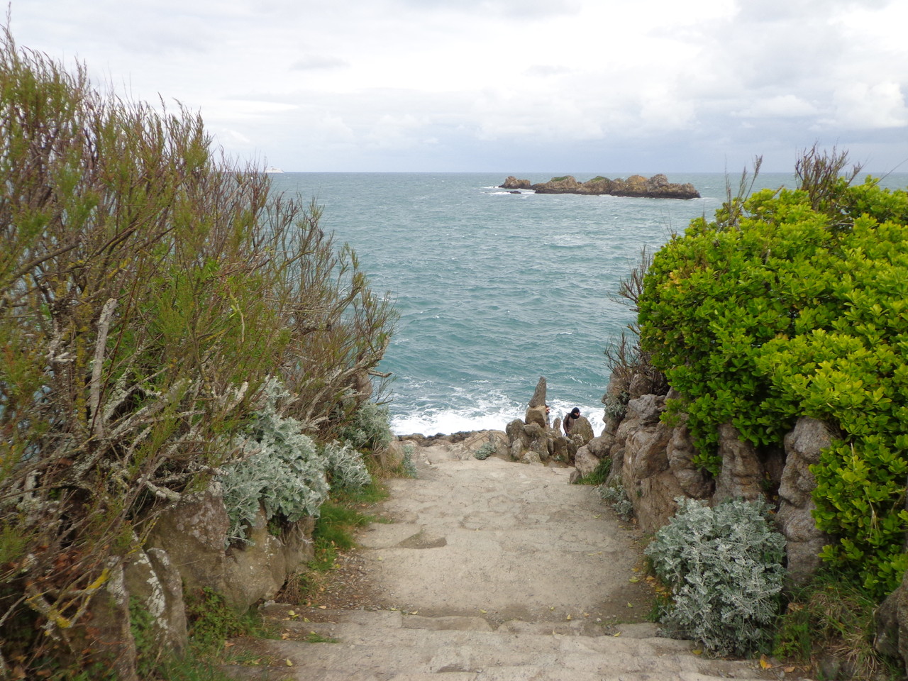 DSC09059.JPG DSC09059.JPG