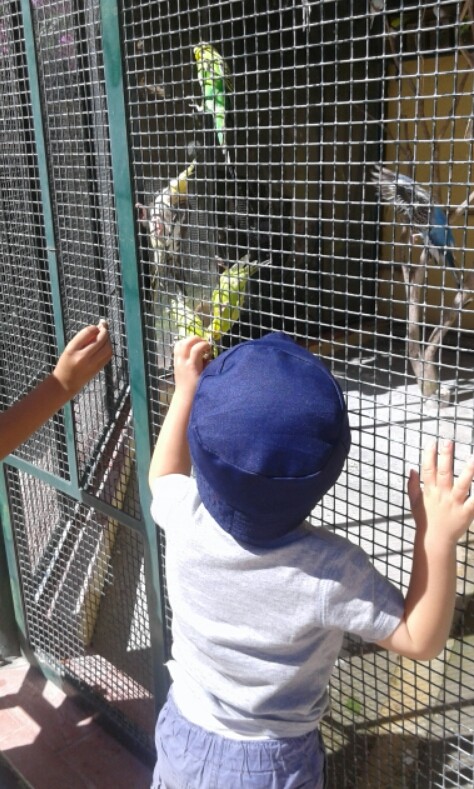 2016-09-12 09.21.45.jpg 2016-09-12 09.21.45.jpg