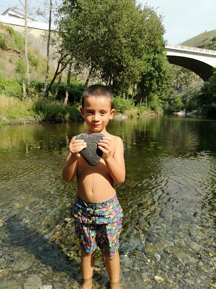 IMG_20200806_164609.jpg IMG_20200806_164609.jpg