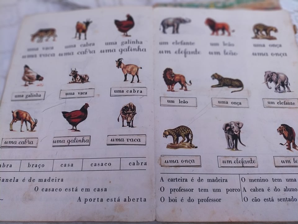 116371191_585061012381950_8024044958539956045_n.jp 116371191_585061012381950_8024044958539956045_n.jp