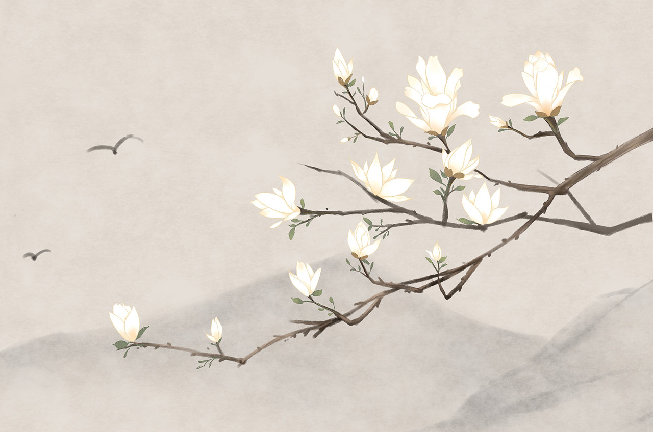 o que a Paz significa..