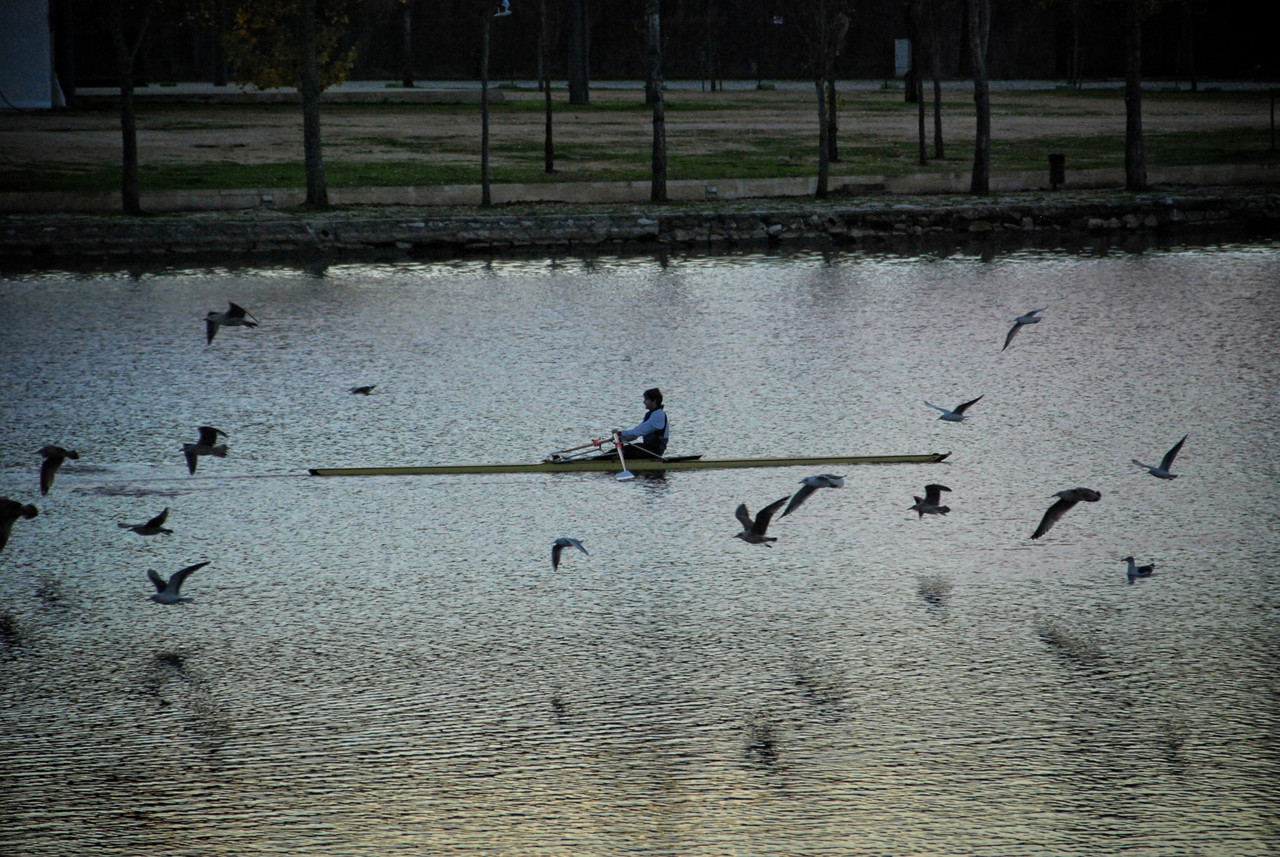 DSC_0520 copy.jpg DSC_0520 copy.jpg