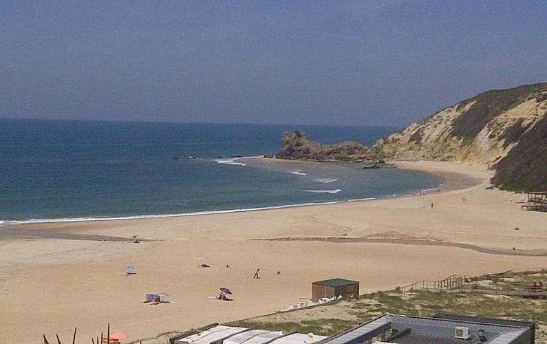 h.2265140.795.500.0.ffffff.213c3dad.jpg h.2265140.795.500.0.ffffff.213c3dad.jpg