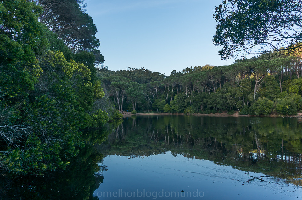 DSC07479.jpg DSC07479.jpg