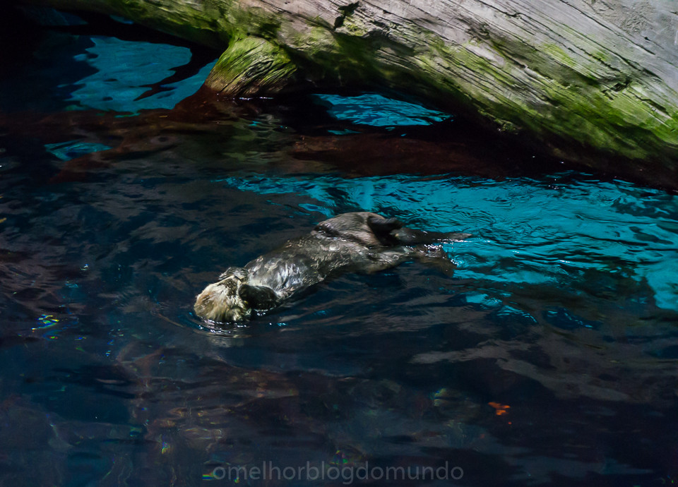 DSC00257.jpg DSC00257.jpg