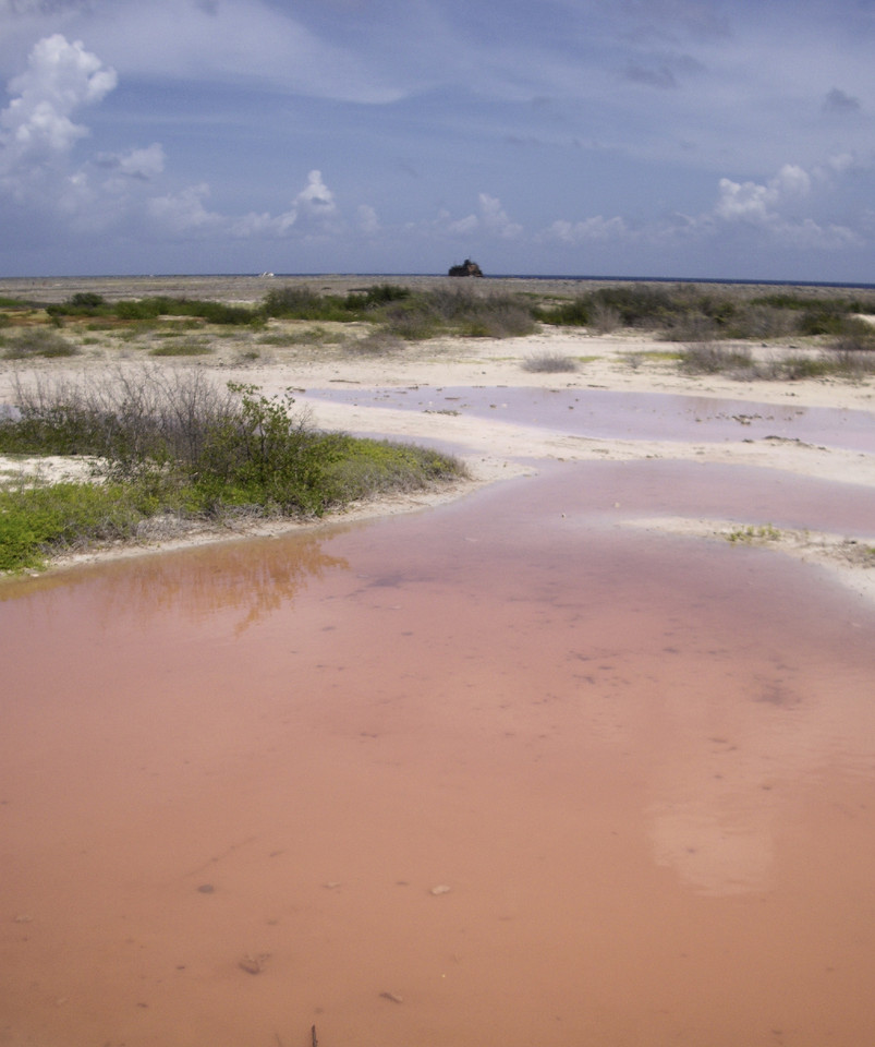 fullsizeoutput_153e.jpeg fullsizeoutput_153e.jpeg