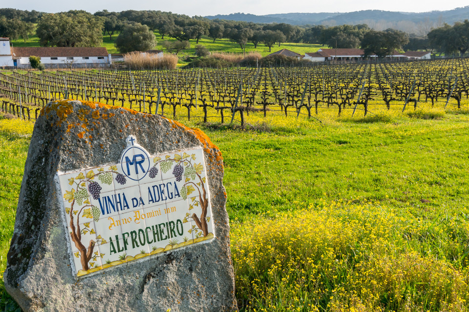 DSC08223.jpg DSC08223.jpg