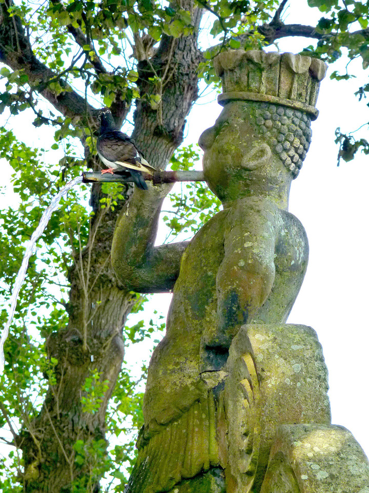 Angra - Jardim Duque da Terceira (45).jpg