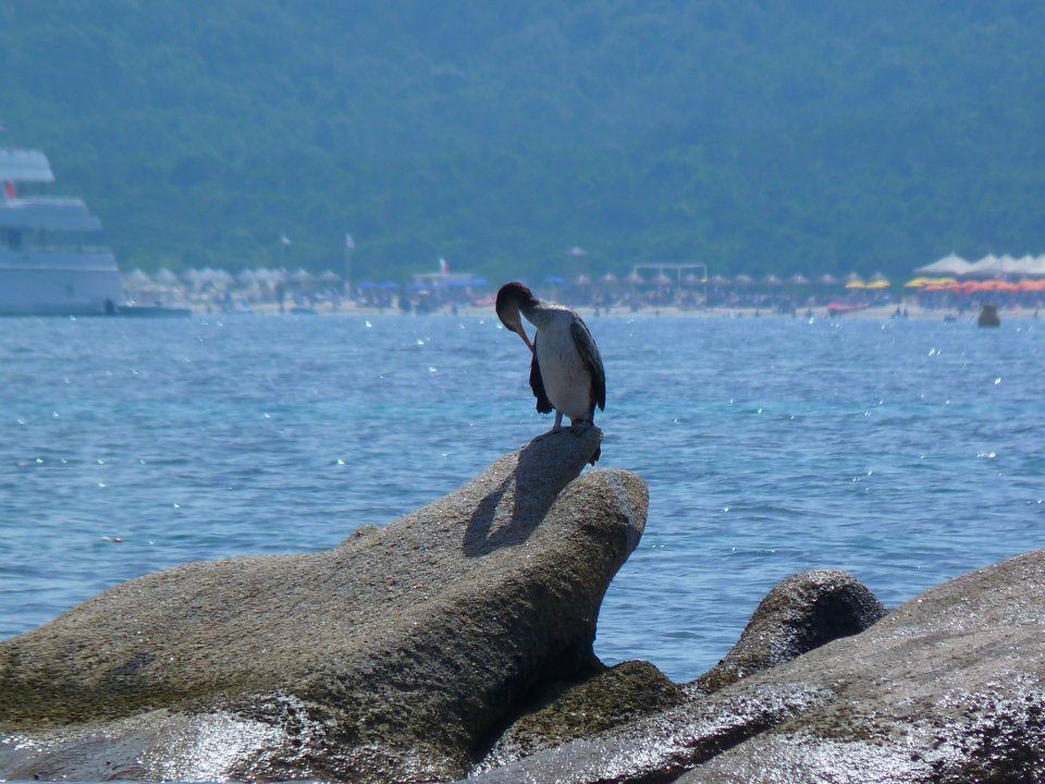 40 Praia Capriccioli.jpg