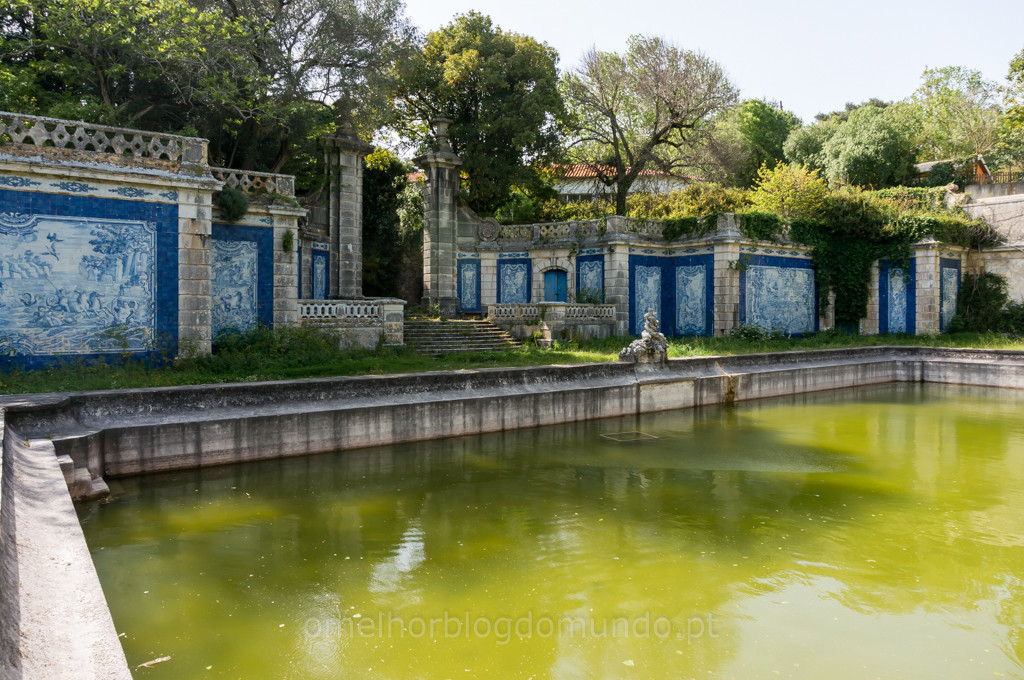 _DSC5895.jpg _DSC5895.jpg