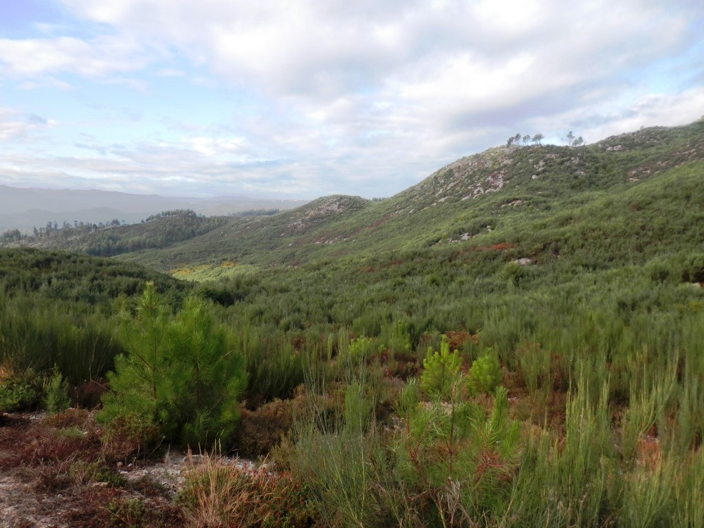 P9120605.JPG P9120605.JPG