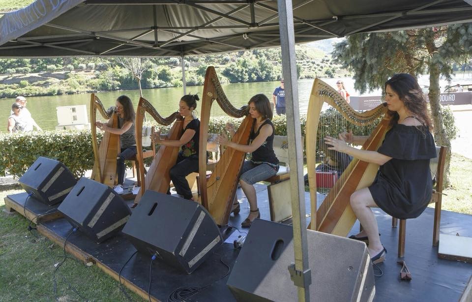 Dia 15.4.jpg Dia 15.4.jpg