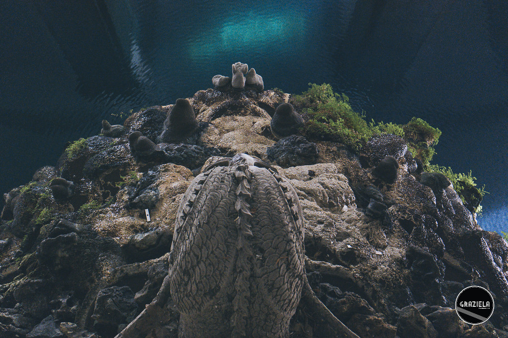 Reservatorio_Mae_de_Agua_Lisboa_Graziela_Costa-524