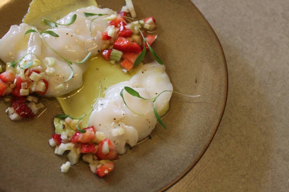 10511211_272342229641298_6415134840778758852_n.jpg 10511211_272342229641298_6415134840778758852_n.jpg