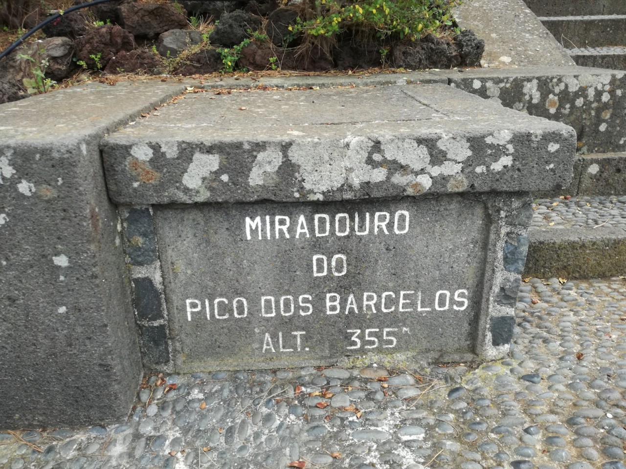 IMG_20190317_115442.jpg IMG_20190317_115442.jpg