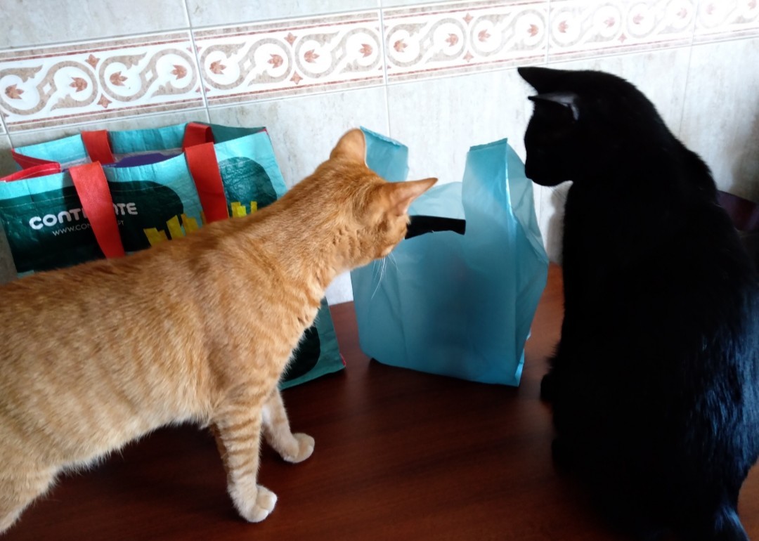 SquarePic_20190605_15075836.jpg SquarePic_20190605_15075836.jpg