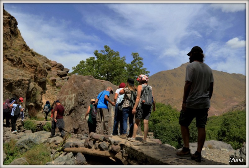 _MG_0411 (2).JPG _MG_0411 (2).JPG